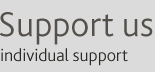 Support Vermillion: Individual Support
